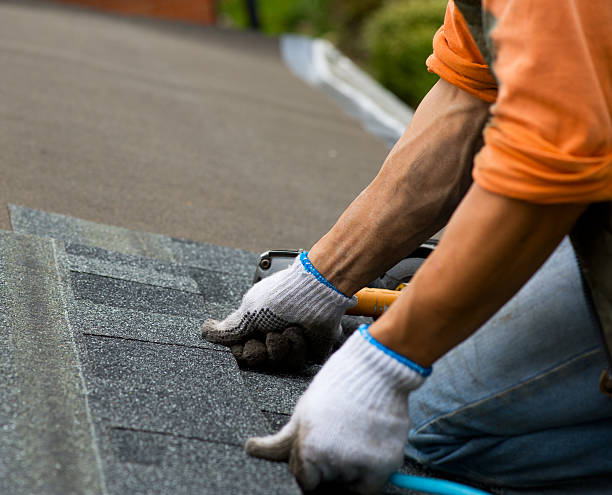 Best Roof Maintenance Services  in Marks, MS
